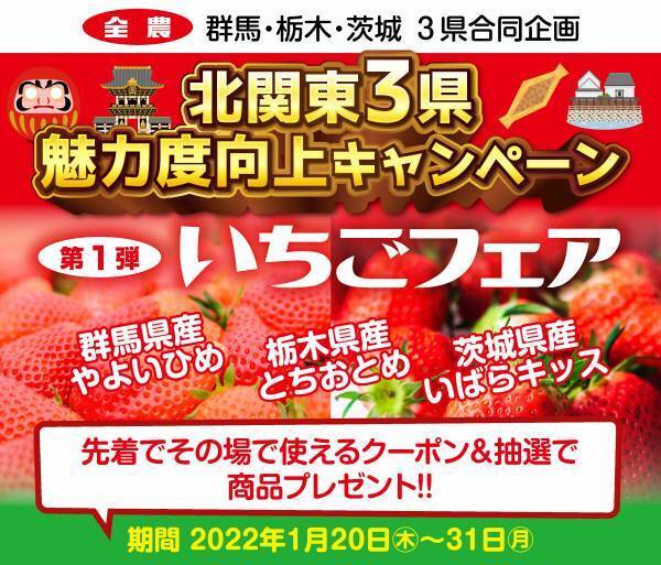 群馬・茨城・栃木のいちごがお買い得！ 産地直送通販サイト「ＪＡタウン」で「北関東３県魅力度向上キャンペーン」開始！
