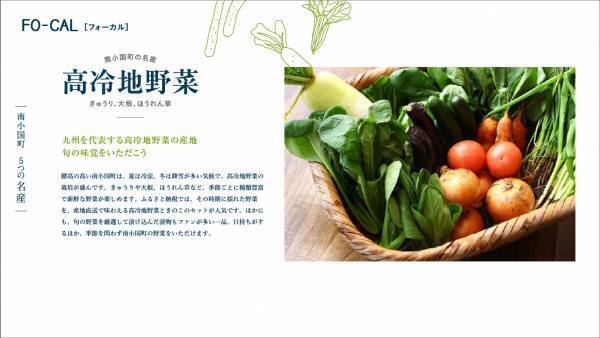 南沙良さんが黒川温泉を有する熊本の温泉王国へ「旅色FO-CAL」熊本県南小国町特集公開