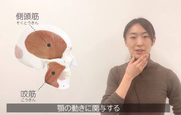 オンラインレッスンサービス「RENAISSANCE Online Livestream®」が大幅にリニューアル！