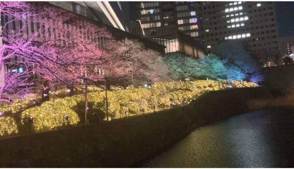 東京ガーデンテラス紀尾井町『KIOI SPRING 2022紀尾井桜テラス「桜・紀尾井町駅」』開催！