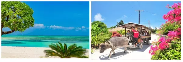 2022年 ゴールデンウィークの過ごし方に関するアンケート 「自宅」が約7割 「近場（公園や買物等）」が約4割 日帰り・国内旅行、帰省はやや増加　自粛の傾向続くも外出再開の兆し GWに楽しめる奄美大島＆石垣島ツアーや海外旅行気分を満喫できる"オンライン旅会"もご紹介！