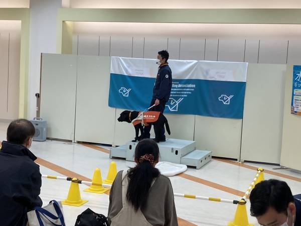 「パリミキ・ロービジョン商品体験会」 開催のお知らせ　パリミキ・イオンタウン浜岡店