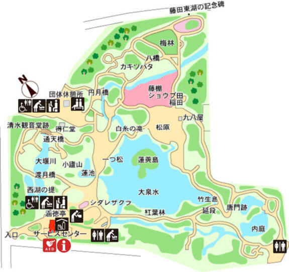 小石川後楽園、睡蓮と花菖蒲が見ごろを迎えています！