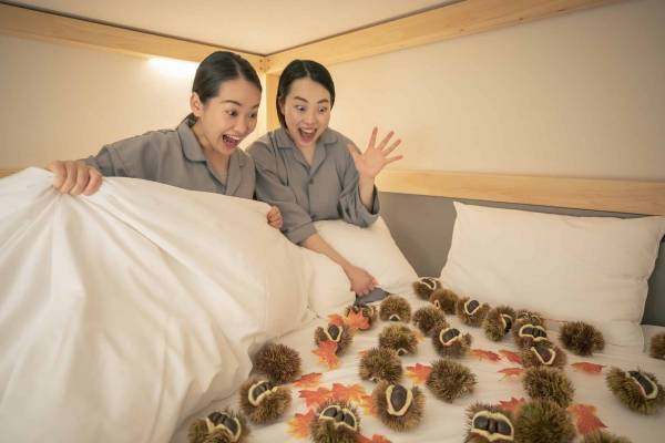 【BEB5軽井沢】実りの秋や運動の秋にちなんだハプニングが起きる、いつもとは一味違う旅「軽井沢で秋を楽しむ、ハプニングステイ」販売｜期間：2022年9月1日～11月30日