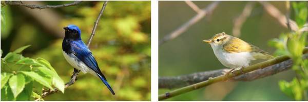 天空の高原温泉リゾート【大江戸温泉物語 日光霧降（栃木県 日光市）】人気のネイチャーアクティビティに手作り体験プログラムが新登場！