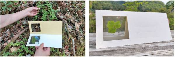 天空の高原温泉リゾート【大江戸温泉物語 日光霧降（栃木県 日光市）】人気のネイチャーアクティビティに手作り体験プログラムが新登場！