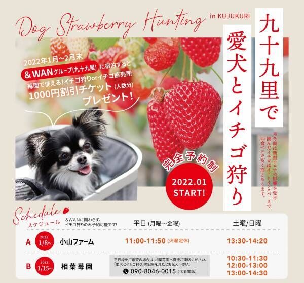 【大盛況】九十九里で愛犬とイチゴ狩りができる！？