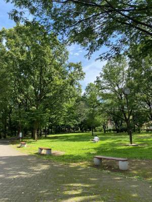 東大和南公園【プロギングイベント】11月12日(土)開催のお知らせ