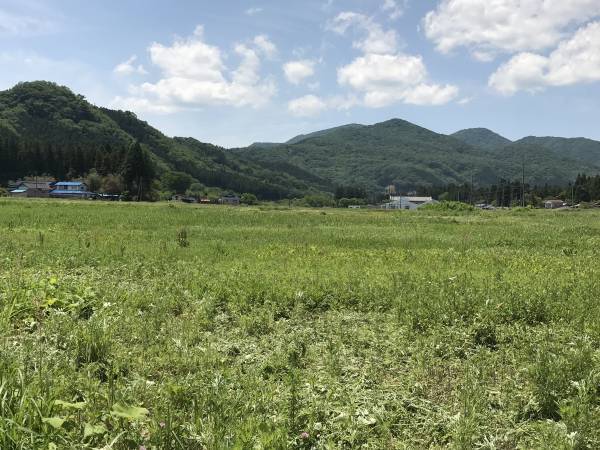 極上の「ととのう」を体感。オーガニック蓬のハーブミストサウナで、夏のデトックス【仙台・作並温泉ゆづくしSalon⼀の坊】