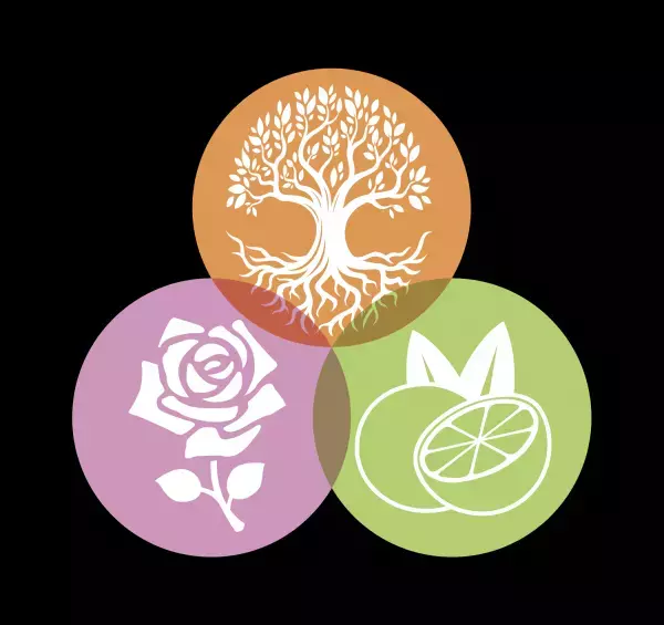 【世界初】『樹木熟成発酵同時抽出フミン酸フルボ酸』配合の エイジングケア ハミガキジェル『フフフではは歯』を発売