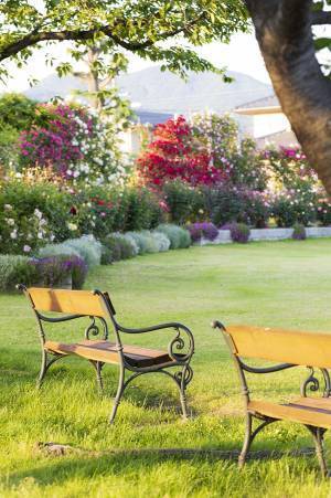 2022信州なかのバラまつり　開催中♪