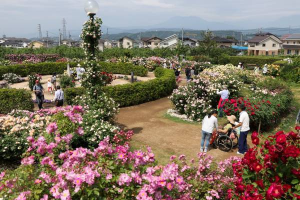 2022信州なかのバラまつり　開催中♪