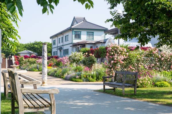 2022信州なかのバラまつり　開催中♪