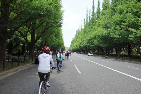 9月25日(日)・10月8日(土)・10月23日(日) 【代々木公園の散走　～スポーツ自転車に乗ってみよう！～ 】
