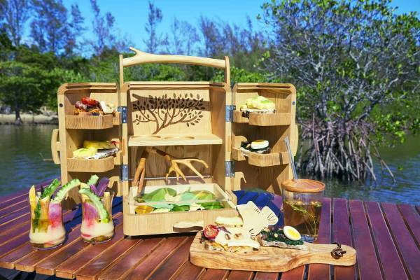 【西表島ホテル】 マングローブ林に浮かぶ特等席で西表島の春の大自然を満喫する「南風マングローブピクニックランチ」実施～島の情景を模した料理を食べて、マングローブ林のエコシステムを知る～｜期間：2023年3月16日～4日16日