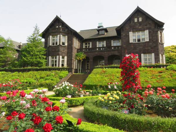 ほぼすべてが開花してクライマックス！旧古河庭園「春のバラフェスティバル」開催中