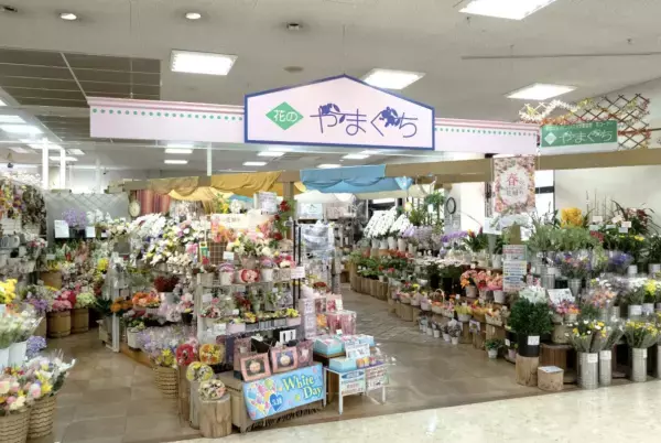 熊本県菊池市の地域活性化に向けて〜「地域×IT×マーケティング」の掛け合わせで地域社会の可能性を拡大〜#4 【福田政隆】