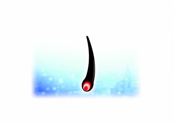 白髪は染めるだけじゃない⁉白髪を治すメカニズムを新たに解明