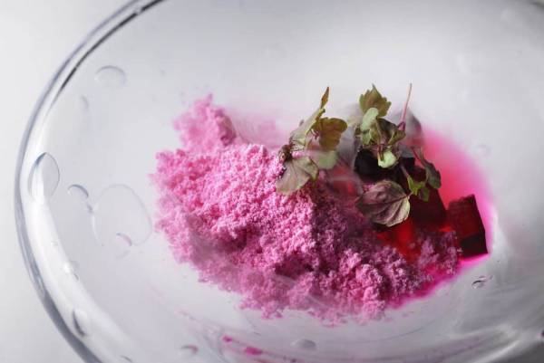 フレンチレストラン「Sonore(ソノール)」で秋限定メニューを提供 ～渓流を望むテラスから始まる、鯖、木の子など秋の味覚を堪能するフルコース～｜期間：2022年9月16日～11月26日