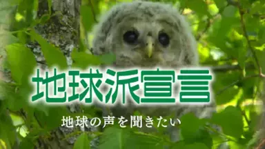 夏休みの子どもたち集まれ！魚の生態をわかりやすく解説するトークショー開催