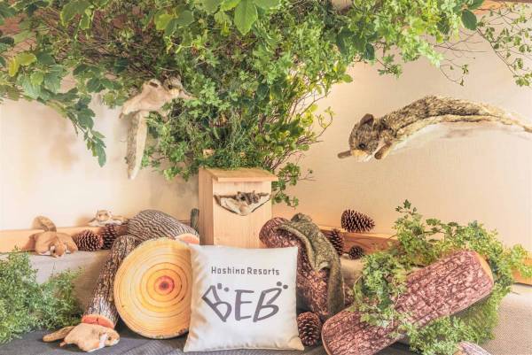 【BEB5軽井沢】1日1組限定！ムササビにふれて癒される宿泊プラン「癒されムサタビ」販売～ムササビルーム、ムササビウォッチング、松ぼっくり風スイーツで満喫～｜期間：2023年3月10日～5月31日