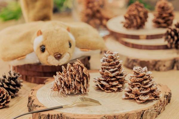 【BEB5軽井沢】1日1組限定！ムササビにふれて癒される宿泊プラン「癒されムサタビ」販売～ムササビルーム、ムササビウォッチング、松ぼっくり風スイーツで満喫～｜期間：2023年3月10日～5月31日