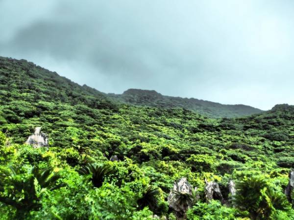 木のおもちゃで遊べる・買える・借りられる CasaMachilda Toy & Friends（カーサマチルダ）、 「琉球松の積み木」を新発売！