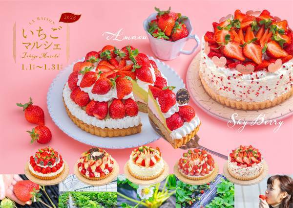 【ラ・メゾン アンソレイユターブル パティスリー】年末年始限定！白いちごのスイーツを販売