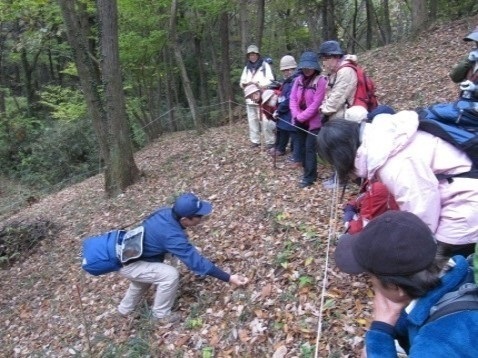 紅葉の長沼・平山城址公園を歩こう　11月26日（土）