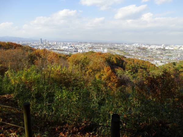 紅葉の長沼・平山城址公園を歩こう　11月26日（土）