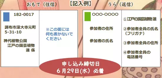 7月17日(日)、参加費無料の江戸園芸講座「江戸園芸植物ー蓮ー」神代植物公園にて行います