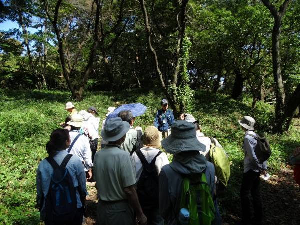 桜ヶ丘公園で「秋の自然観察ガイドウォーク」を実施します！