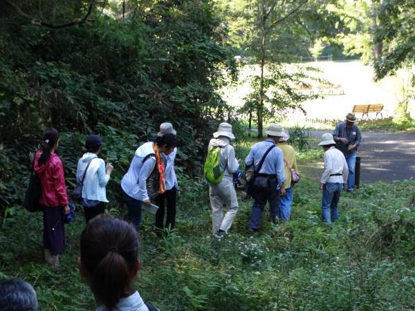 桜ヶ丘公園で「秋の自然観察ガイドウォーク」を実施します！