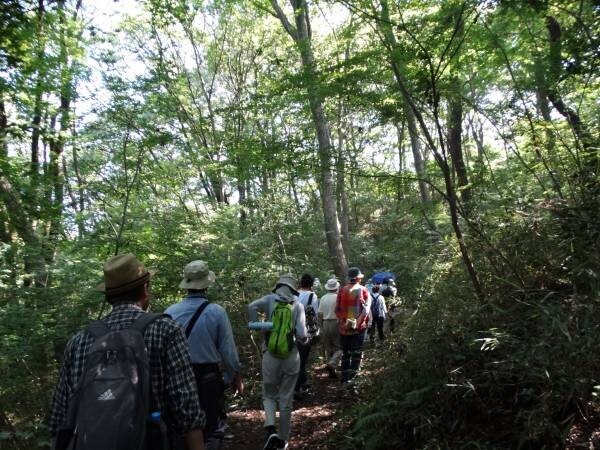 桜ヶ丘公園で「秋の自然観察ガイドウォーク」を実施します！