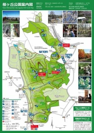 桜ヶ丘公園で「秋の自然観察ガイドウォーク」を実施します！