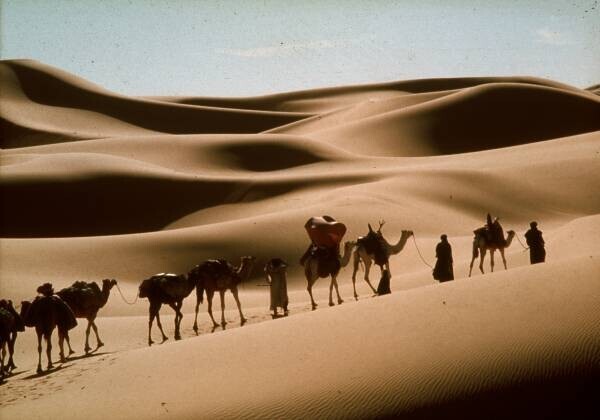 「ラストエンペラー」のB・ベルトルッチ監督が描く、砂漠に魅せられた魂の物語 「シェルタリング・スカイ」 12月10日（土）よる7時～BS12 トゥエルビで放送