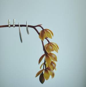 アクセサリーショップ・ワームス ルミネ新宿店が8月28日（日）リニューアルオープン