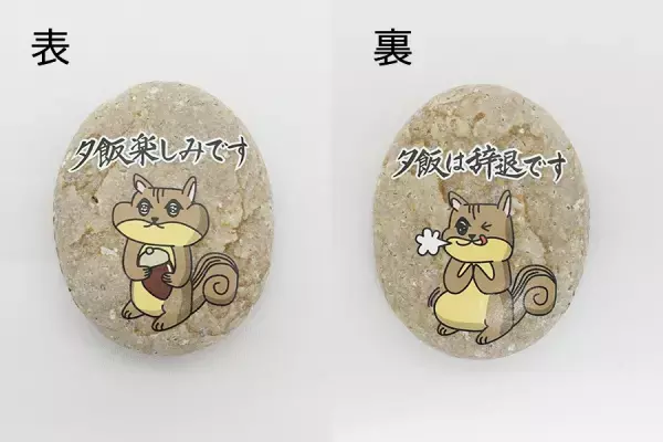 家庭で使えるオクストン【夕飯楽しみリス(両面タイプ)】の紹介