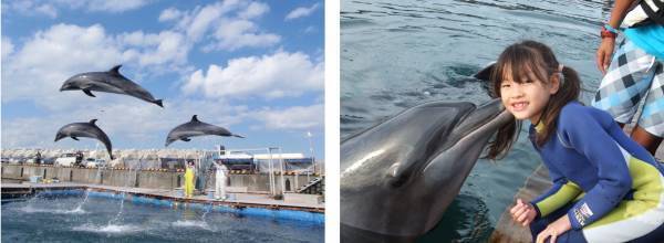 大分・静岡県民限定、県内観光促進事業による割引補助でお得に宿泊。大江戸温泉物語「別府清風」と「伊東 ホテルニュー岡部」は動物と触れ合えるレジャースポットにアクセス良好だから春のファミリー旅にお薦め！