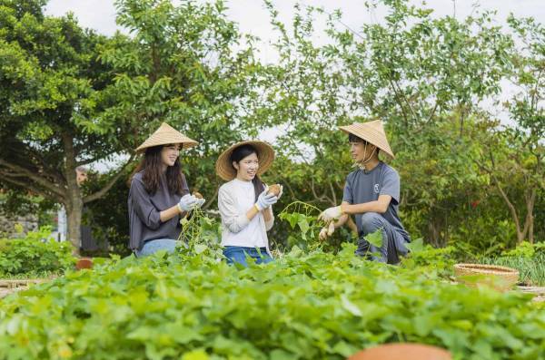 【星のや竹富島】竹富芋の収穫体験や昔ながらの芋のお菓子作りなどを楽しめる「ハンチメー滞在」実施｜期間：2022年9月1日～11月30日（日、月、木曜日のチェックイン限定）