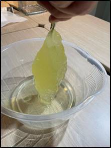 [1月20日全国販売開始]驚きの油吸収　わたポイ発売！