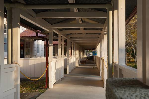 地域に根ざした伝統に触れながら、秩父でお仕事『秩父銘仙体験ワーケーション』を開催します。