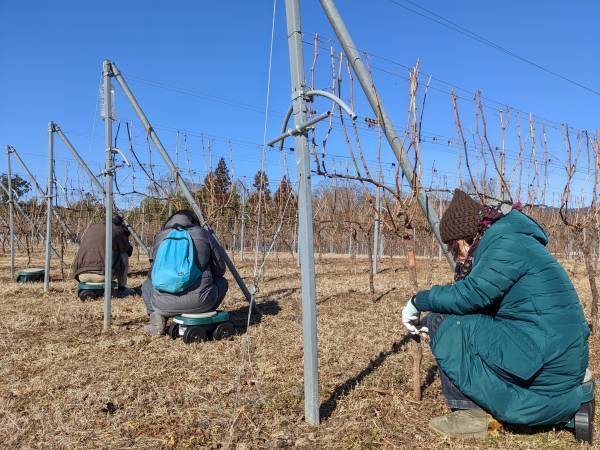 地域に根ざした伝統に触れながら、秩父でお仕事『秩父銘仙体験ワーケーション』を開催します。