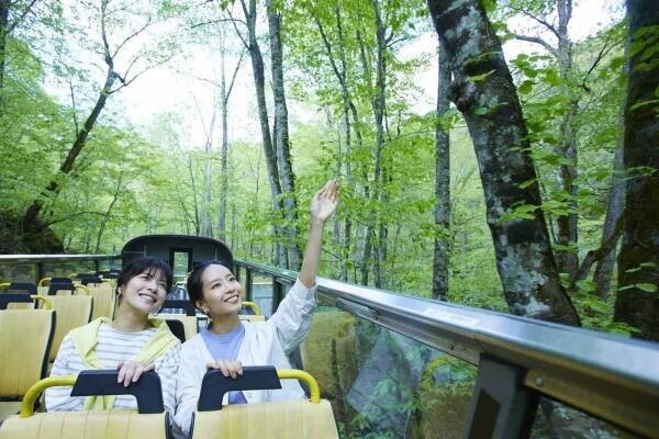 【奥入瀬渓流ホテル】360度の絶景を楽しむ「渓流オープンバスツアー」実施｜期間：2022年5月20日～11月6日