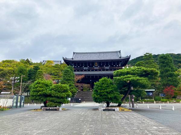 歴史紡ぐ花街・祇園で食べる温故知新。「祇園麺処むらじ」で女性に人気のラーメンを