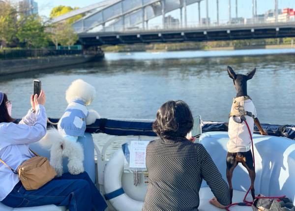 biid（ビード）「大阪北港マリーナHULL(ハル)」新たな船のクルージングプランの開始！