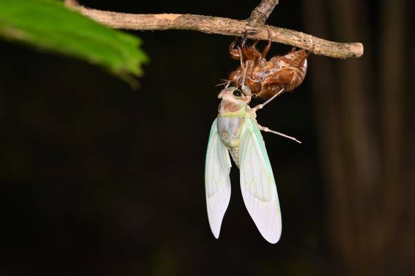 小峰ビジターセンター　夜の里山ガイドウォーク＆五感で楽しむ暗闇遊び