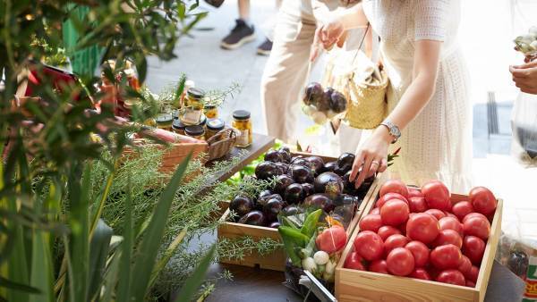 まるごと宮崎！みやざき地頭鶏やへべすを使ったコラボメニューを期間限定で販売！