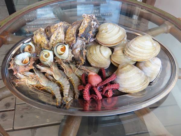 biid（ビード）【梅雨のおでかけオススメスポット】天候に左右されない！江ノ島・横浜・大阪・小豆島でBBQ！