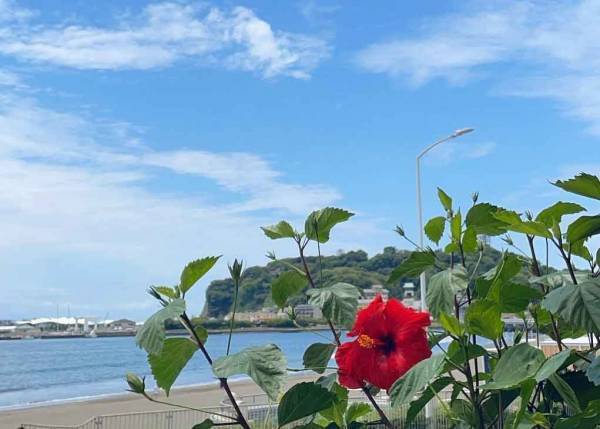 biid（ビード）【梅雨のおでかけオススメスポット】天候に左右されない！江ノ島・横浜・大阪・小豆島でBBQ！